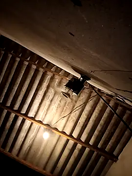 eupica1195 online show from October 11, 2025, 4:22 am