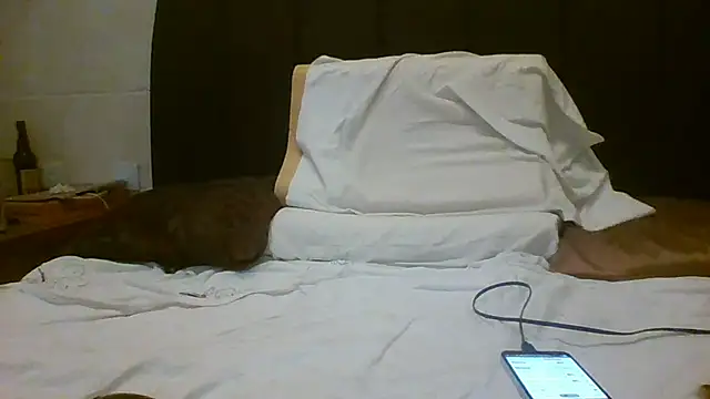 Snapshot of Denisilboss chatting on March 24, 2026, 3:50 pm Denisilboss online show from March 24, 2026, 3:50 pm