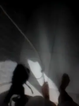 betinhodelas online show from November 30, 2025, 5:11 am