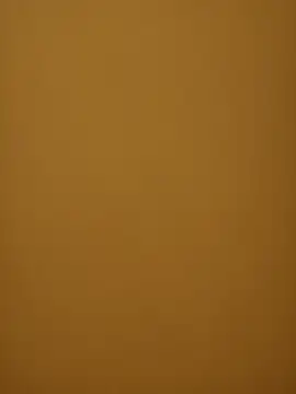 Snapshot of Chriso0007 chatting on March 14, 2025, 11:45 am Chriso0007 online show from March 14, 2025, 11:45 am