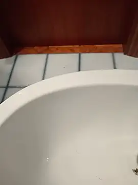 Snapshot of Durovoglioso2 chatting on March 15, 2026, 7:14 am Durovoglioso2 online show from March 15, 2026, 7:14 am