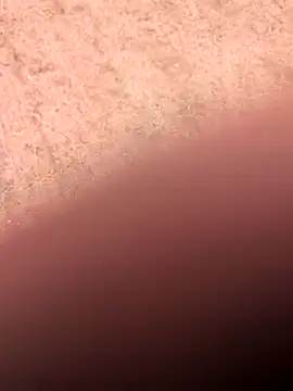 Snapshot of klownman1 chatting on March 1, 2025, 6:00 pm klownman1 online show from March 1, 2025, 6:00 pm