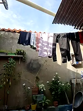 Snapshot of room_24funn chatting on January 10, 2026, 8:32 pm room 24funn online show from January 10, 2026, 8:32 pm