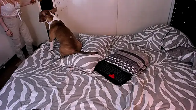 valerie luxe  online show from January 15, 2026, 4:39 am