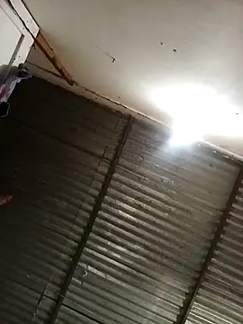 Andreita 95 online show from December 16, 2025, 2:00 pm