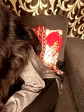 REVA DARLING online show from January 11, 2025, 8:54 am