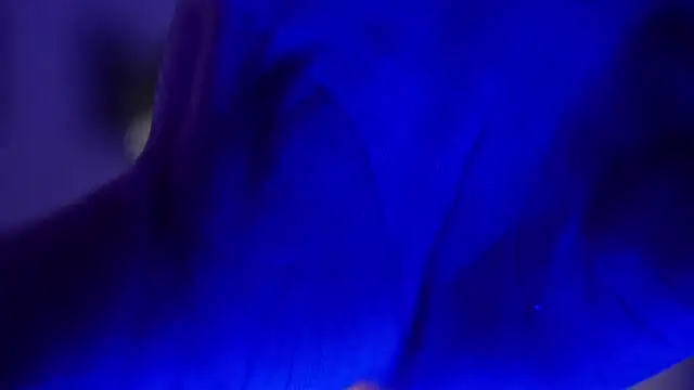 Hazzan Velez online show from November 27, 2025, 2:57 am