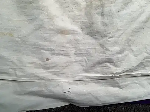 Snapshot of beforeyou69 chatting on January 30, 2025, 1:42 pm beforeyou69 online show from January 30, 2025, 1:42 pm