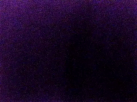 happy sonia online show from December 2, 2025, 11:59 am