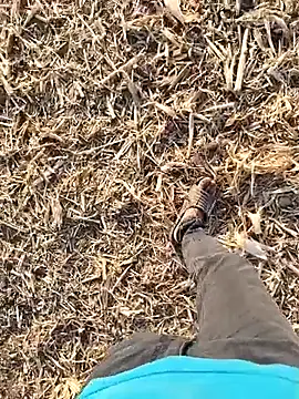 murokkk31 online show from September 30, 2025, 1:49 pm