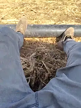 murokkk31 online show from October 12, 2025, 7:07 am