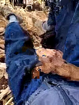 murokkk31 online show from December 4, 2025, 8:34 am