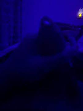 thecockybouy online show from March 2, 2025, 1:36 am