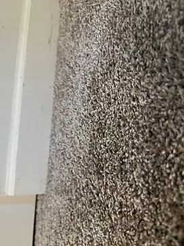 Snapshot of Big-dick_1 chatting on December 15, 2024, 3:20 pm Big-dick 1 online show from December 15, 2024, 3:20 pm