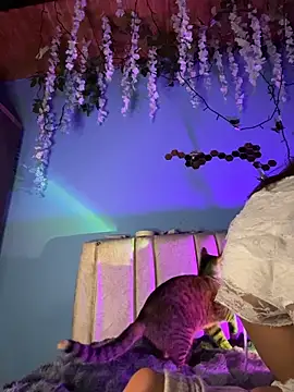 Snapshot of Lily_candy_X chatting on March 3, 2026, 5:24 am Lily candy X online show from March 3, 2026, 5:24 am