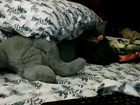 WHITEDAROSE online show from January 15, 2025, 2:13 pm