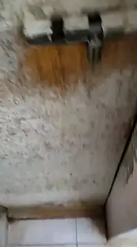 Vizagboy05 online show from January 25, 2025, 7:49 am