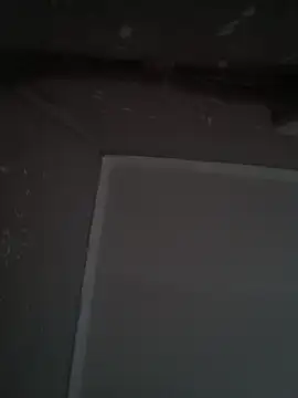 wlammi ptr online show from December 19, 2025, 10:22 am