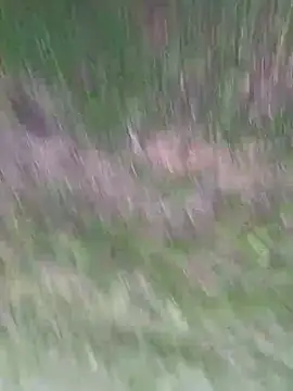 Vanesskaa online show from April 1, 2026, 3:09 pm