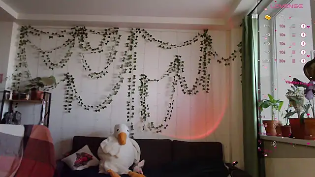 Your Corvus online show from January 21, 2025, 11:35 am