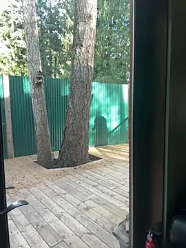 twist699 online show from November 8, 2025, 6:40 pm