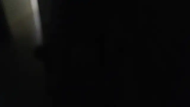 Snapshot of joeydee1 chatting on December 7, 2024, 7:21 pm joeydee1 online show from December 7, 2024, 7:21 pm
