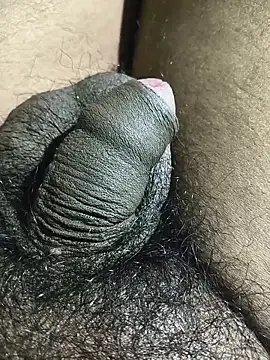 rajrahulovi online show from February 14, 2026, 5:21 pm