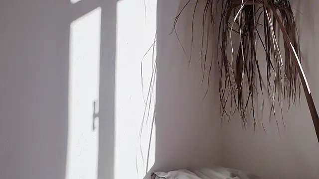 my lina online show from October 17, 2025, 6:27 am