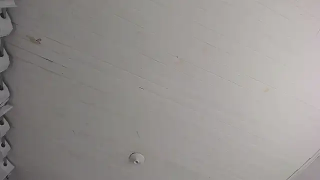 TiffanyWright online show from November 29, 2025, 10:40 am