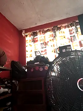 VL25DN26 online show from November 7, 2025, 4:51 pm