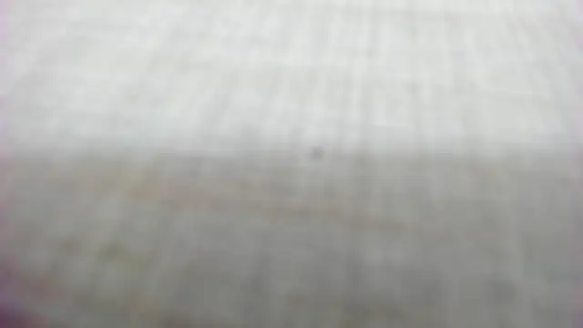 AishaRouhi online show from February 14, 2026, 5:26 am