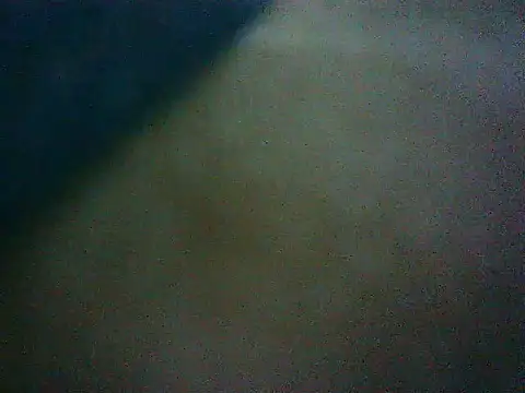 mumbi91 online show from January 16, 2025, 4:38 am