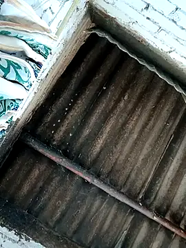 Lukas strong online show from October 7, 2025, 6:38 pm