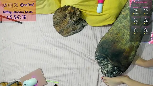 ixsi online show from October 23, 2025, 7:40 am