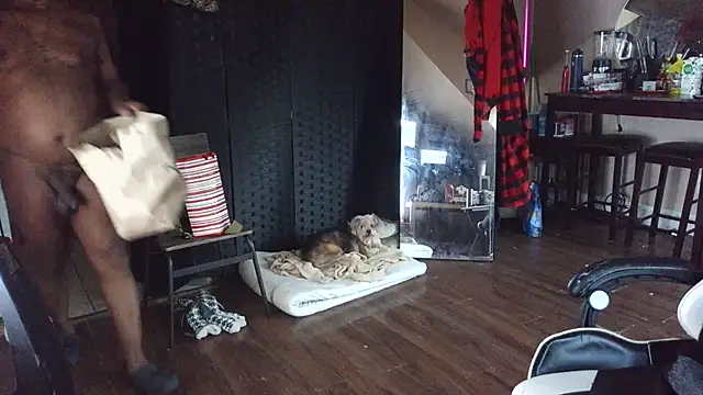 bigshh8 online show from January 11, 2026, 12:04 am