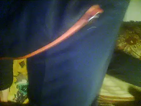 Rejtelmesest online show from March 22, 2025, 10:04 pm