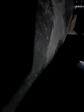 sandip-bhai online show from December 25, 2024, 7:02 pm