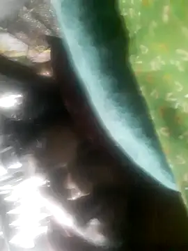 sandip-bhai online show from November 21, 2025, 11:58 pm