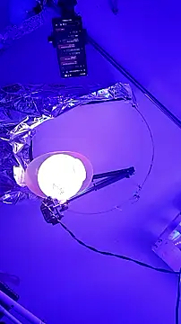 gurlnips online show from September 26, 2025, 9:57 am