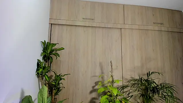 filletatouee online show from November 18, 2025, 3:01 am