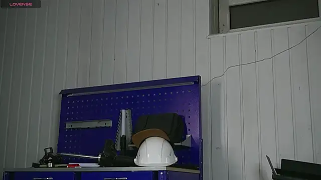 dustyn fox online show from January 17, 2026, 3:17 pm