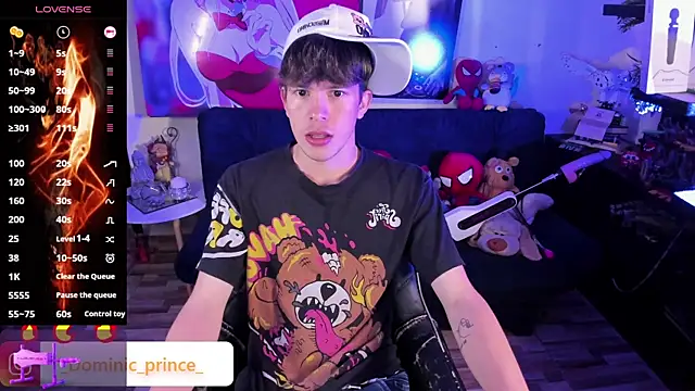 DominicPrince online show from November 28, 2025, 10:34 pm