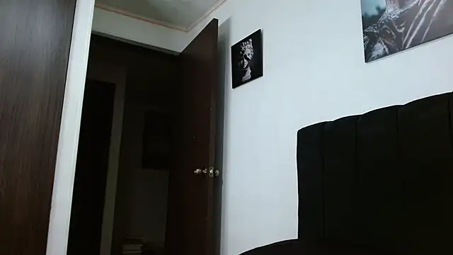 Snapshot of Hendry_ chatting on January 31, 2025, 1:33 am Hendry online show from January 31, 2025, 1:33 am