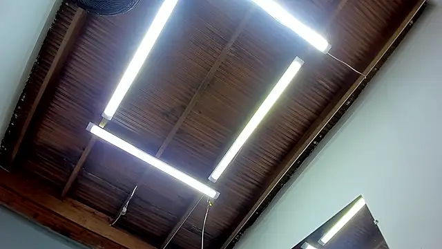 esteban cor online show from January 22, 2025, 6:42 am