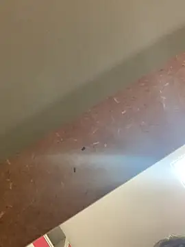 Snapshot of smithrosinha chatting on September 19, 2025, 5:24 pm smithrosinha online show from September 19, 2025, 5:24 pm