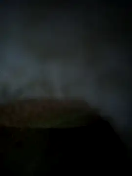 Shivi shahh online show from January 20, 2025, 7:46 pm