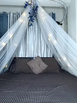 Snapshot of Bold-Cat chatting on February 18, 2026, 5:53 pm Bold-Cat online show from February 18, 2026, 5:53 pm