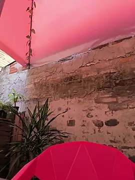 Fun Everywhere online show from April 16, 2026, 6:30 pm