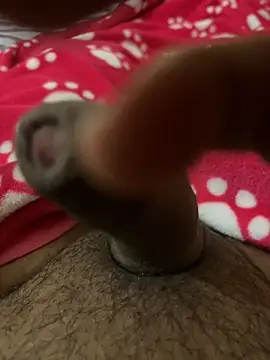 Jimbox6661 online show from January 10, 2026, 11:34 am