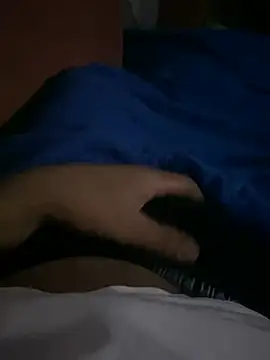 Snapshot of AdA-LoVe chatting on February 4, 2025, 1:02 am AdA-LoVe online show from February 4, 2025, 1:02 am